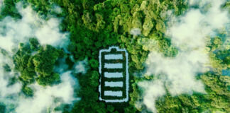 Ein grüner üppiger Wald aus der Vogelperspektive, in dessen Mitte eine große Batterie oder ein batterieförmiger Teich "Grüne Energie" symbolisiert. Wolken oder Nebel umspielt die dichten Bäume.