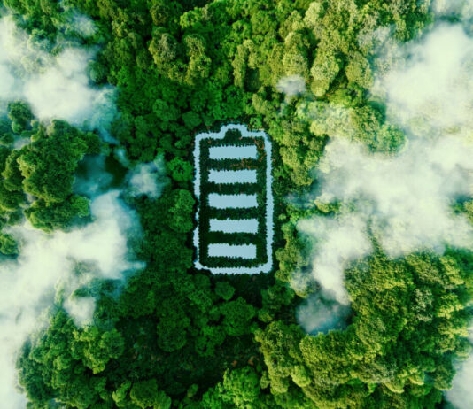 Ein grüner üppiger Wald aus der Vogelperspektive, in dessen Mitte eine große Batterie oder ein batterieförmiger Teich "Grüne Energie" symbolisiert. Wolken oder Nebel umspielt die dichten Bäume.