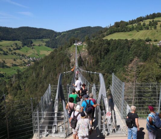 Viele Menschen laufen über eine hohe Hängebrücke mit Stahlgittern an den Seiten. Die Brücke befindet sich im Schwarzwald und ist von Bäumen umgeben.