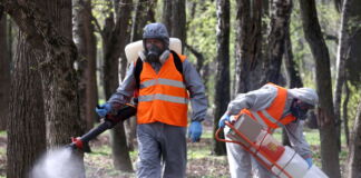Zwei Männer in Schutzanzügen mit Atemmasken verteilen ein Pestizid oder Gift im Wald. Sie bekämpfen Schädlinge, Bakterien oder gefährliche Viren.
