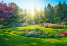Ein schöner Frühlingsgarten mit vielen bunten Pflanzen und Blumen. Rings herum befinden sich Bäume. Durch die Bäume hindurch scheint die Sonne.