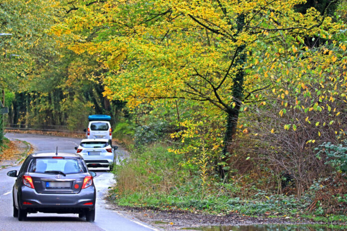 Verschiedene Autos und Pkw fahren durch den Wald auf einer befestigten Straße. Am Waldesrand stehen Bäume, die Laubfärbung hat eingesetzt, es ist Herbst.