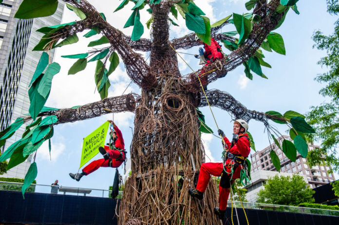 Mehrere Klima-Aktivisten besetzen einen Baum. Sie haben sich mit Seilen an der Baumkrone festgemacht und lassen sich herunter. Dabei zeigen die Klimaschützer Plakate mit der Botschaft der Demo.