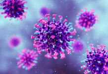 Ein computergeneriertes Bild eines Virus. Es handelt sich dabei um ein humanes Metapneumovirus – kurz HMPV genannt. Die Viruszelle ist violett mit einigen rosafarbenen und blauen Stacheln. Die Zelle fliegt umher und im Hintergrund kann man weitere erkennen.