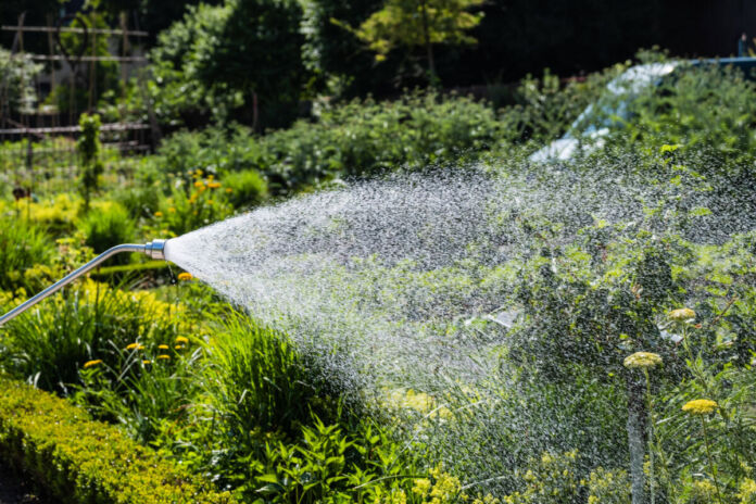 Ein grüner Garten im Sommer. Die Pflanzen im Garten werden mit einer Brause bewässert. Im Hintergrund ist der Umriss eines Fahrzeugs zu erkennen, welches von den Pflanzen bedeckt wird.