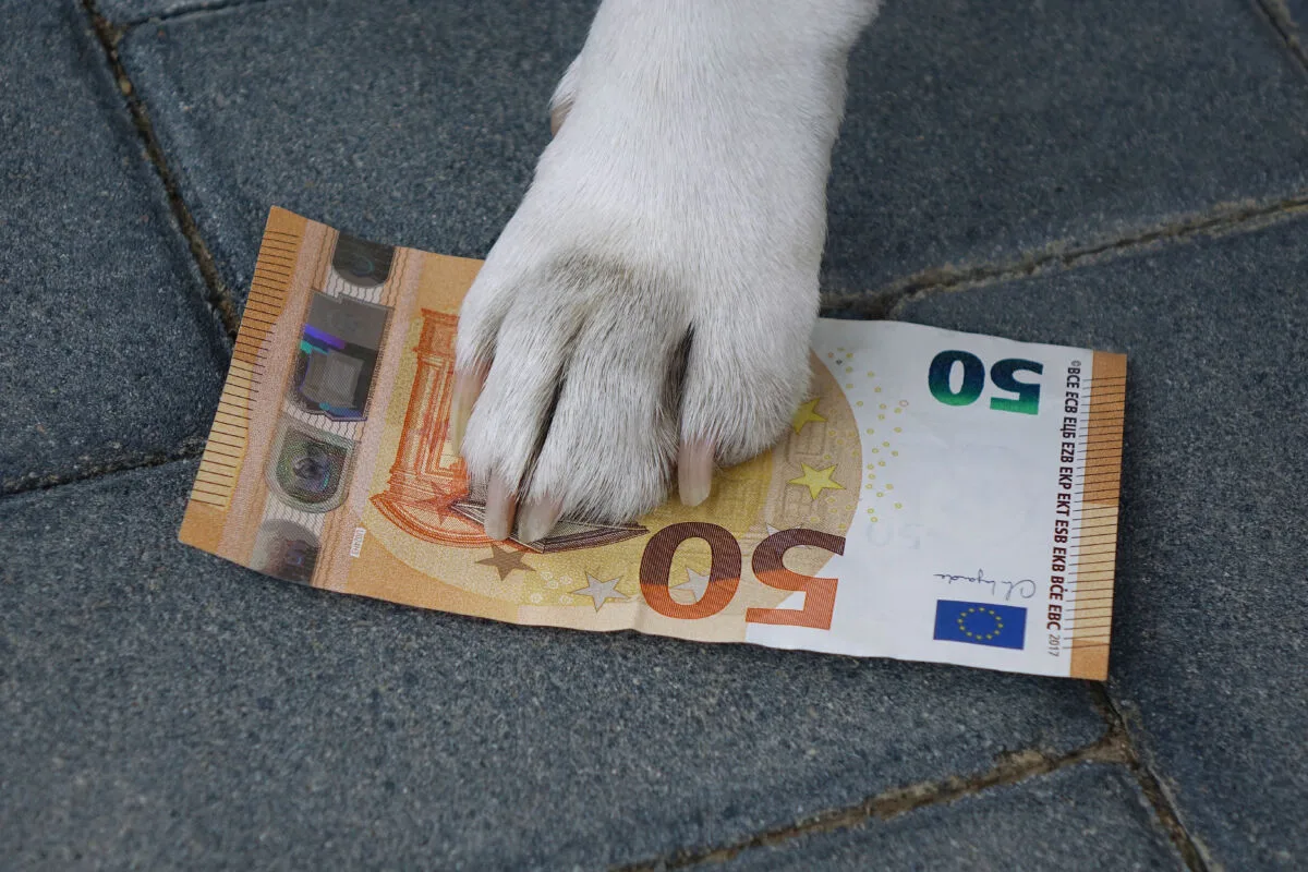 Steuer-steigt-Hundebesitzer-bei-Karlsruhe-m-ssen-mehr-bezahlen