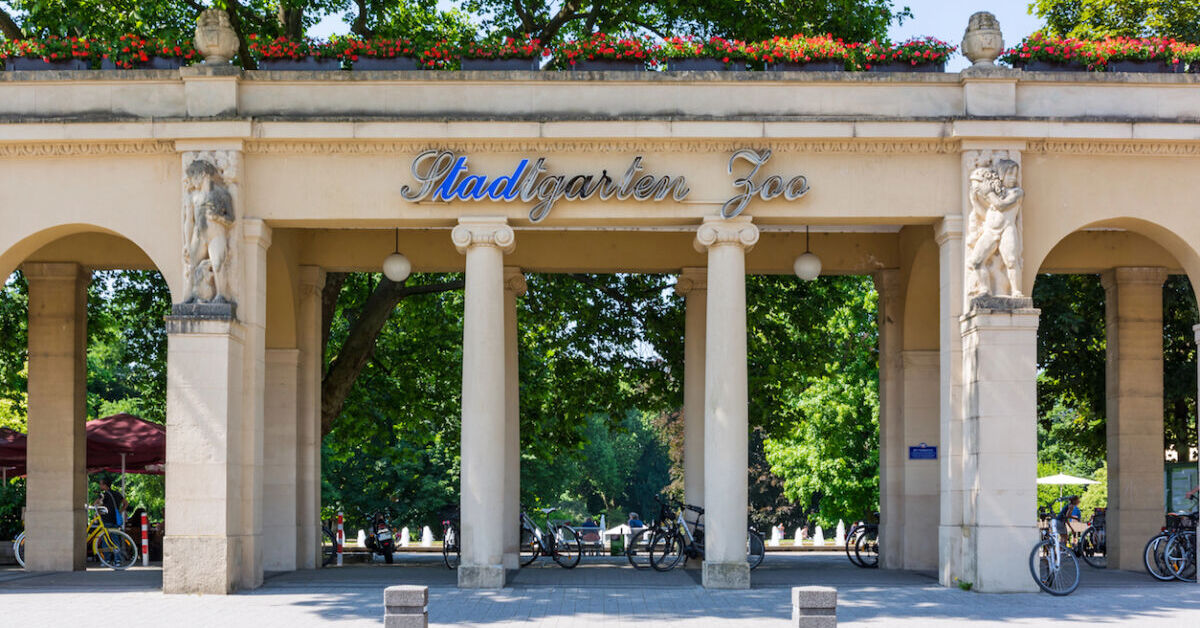 Einmalige-Neuer-ffnungen-erwarten-Besucher-im-Karlsruher-Zoo
