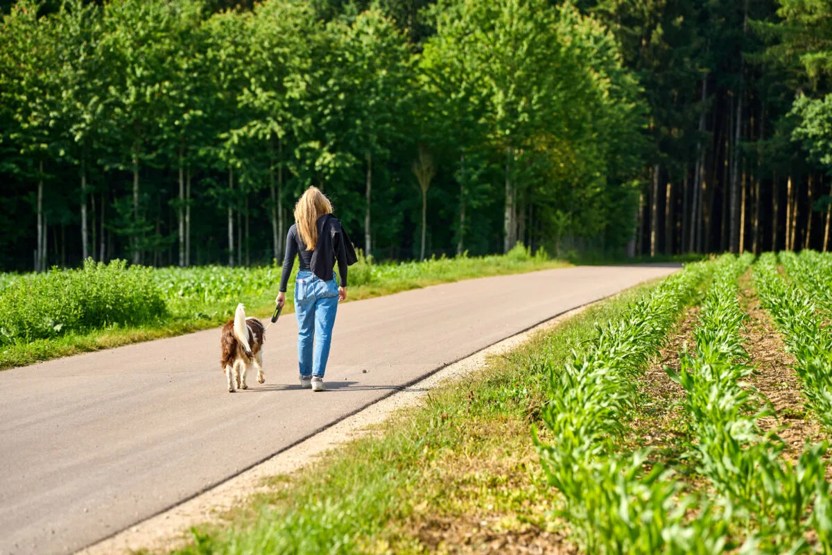 Ansteckendes-Virus-in-deutschen-W-ldern-Appell-an-Hundehalter-