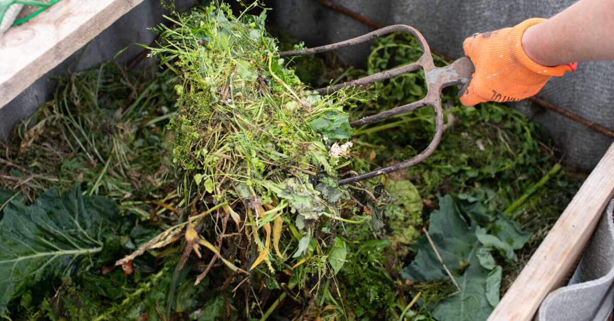 Meldepflicht-Unscheinbares-Unkraut-sofort-aus-dem-Garten-rei-en