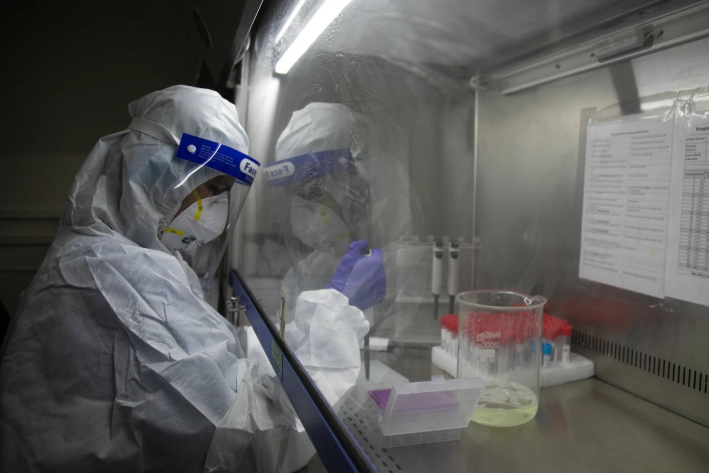 EU-Plan-Viel-mehr-Lebensmittel-aus-Gentechnik-in-Superm-rkten