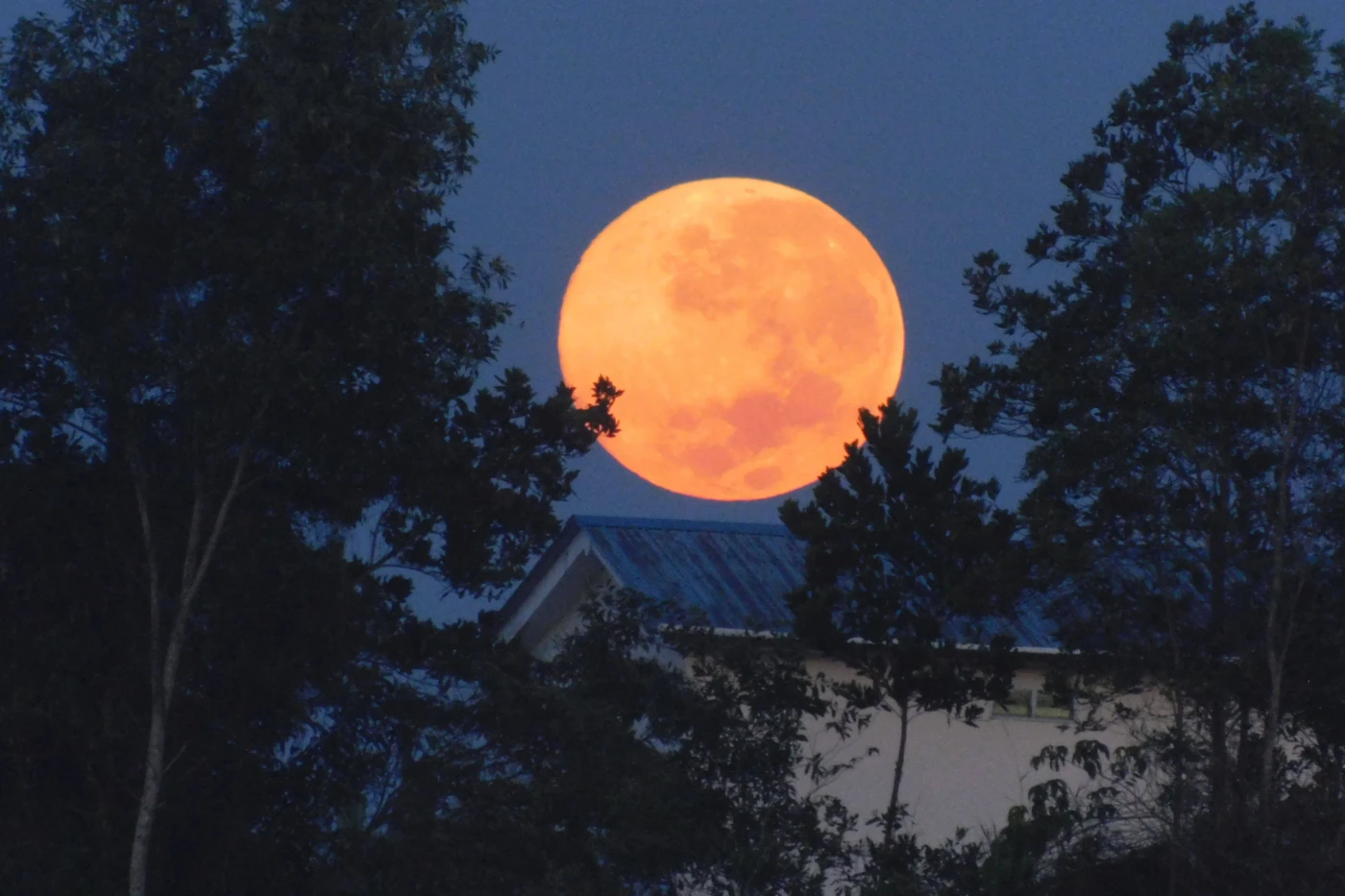 Himmel-Supermond-und-Sonnenfinsternis-in-Deutschland-erwartet
