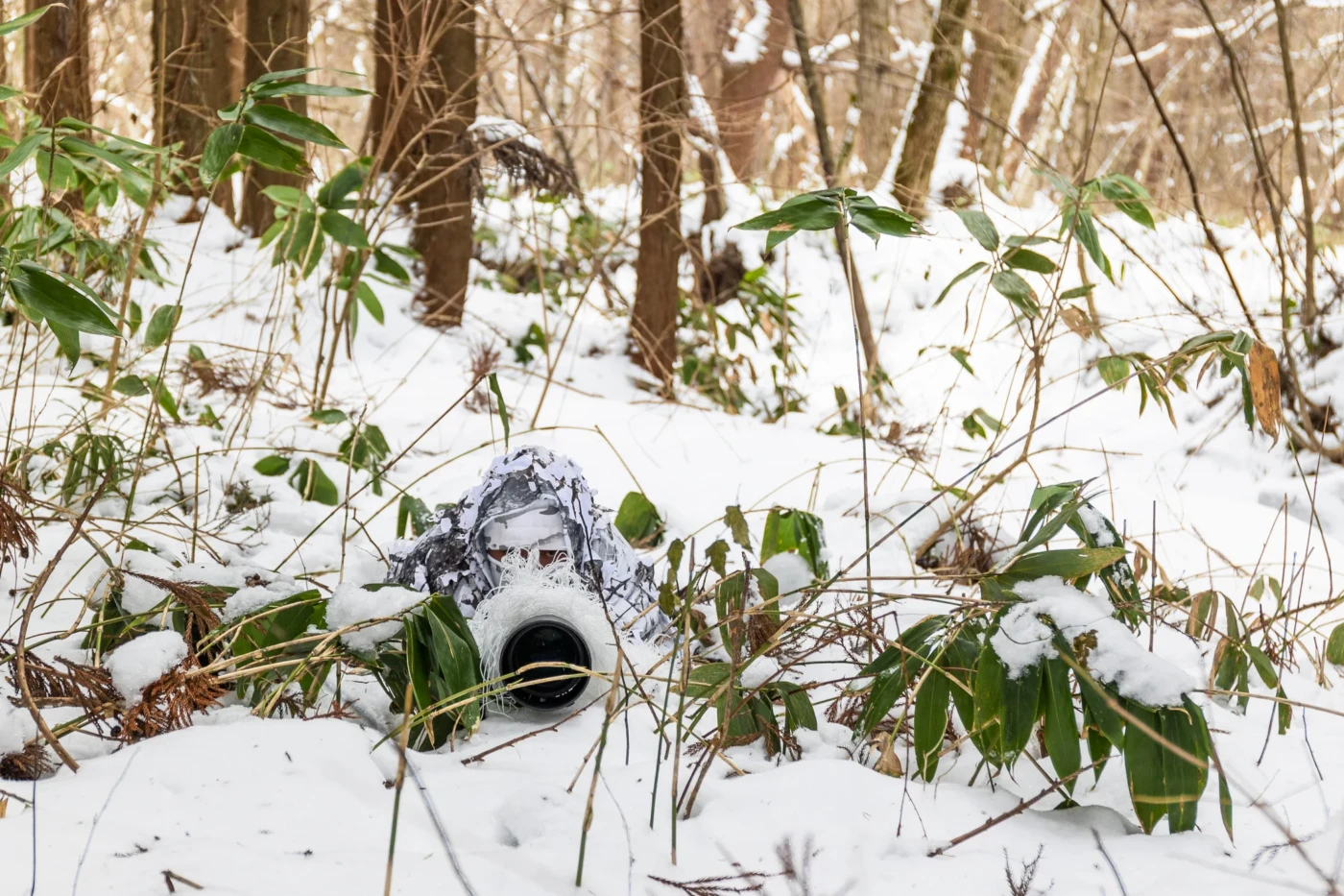 Finger-weg-5-geheime-Verstecke-liegen-in-jedem-Garten