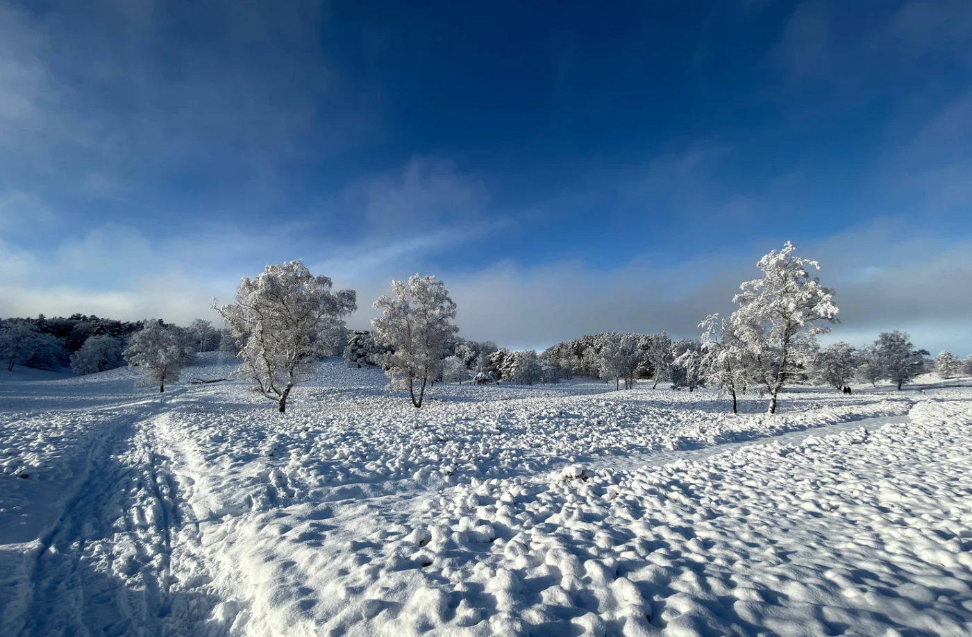 Minus-15-Grad-Deutschland-bekommt-bitterkalte-Eiszeitwoche